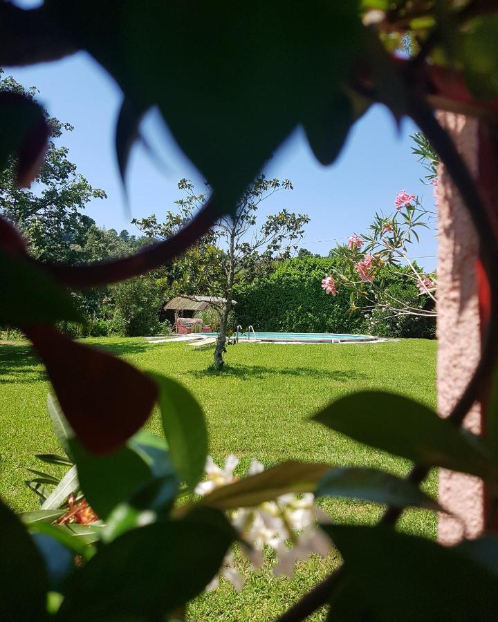 Villa Casa Pilar Capannori Exterior foto