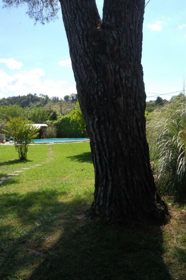 Villa Casa Pilar Capannori Exterior foto